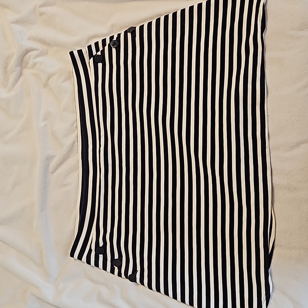 Loft Stripe Skirt